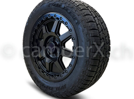 VW T6 California Offroad Rad